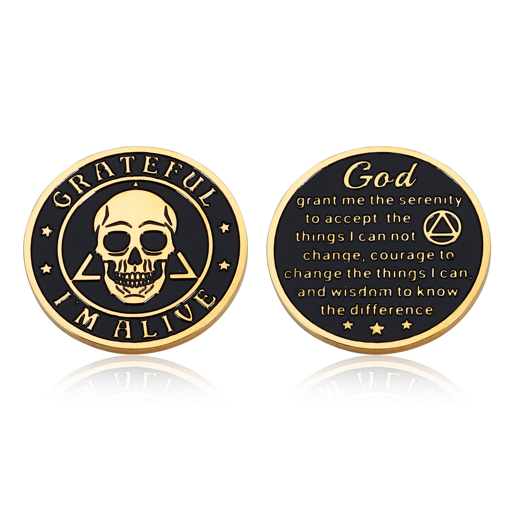 Sobriety Gifts for Men Women Sobriety Chip Addiction Recovery Gift for Family Friends Affirmation AA Coin Sober Gifts for Him Her Sobriety Gift for Alcoholics AA Members